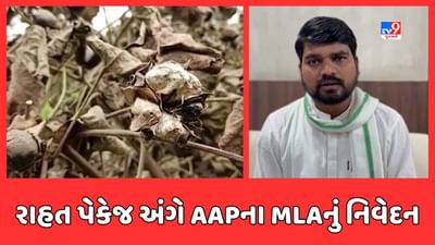 Narmada: સરકારે નર્મદાના ખેડૂતો સાથે મજાક કરી રાહત પેકેજ અંગે AAPના MLAનું નિવેદન, જુઓ Video Narmada: સરકારે નર્મદાના ખેડૂતો સાથે મજાક કરી રાહત પેકેજ અંગે AAPના MLAનું નિવેદન, જુઓ Video