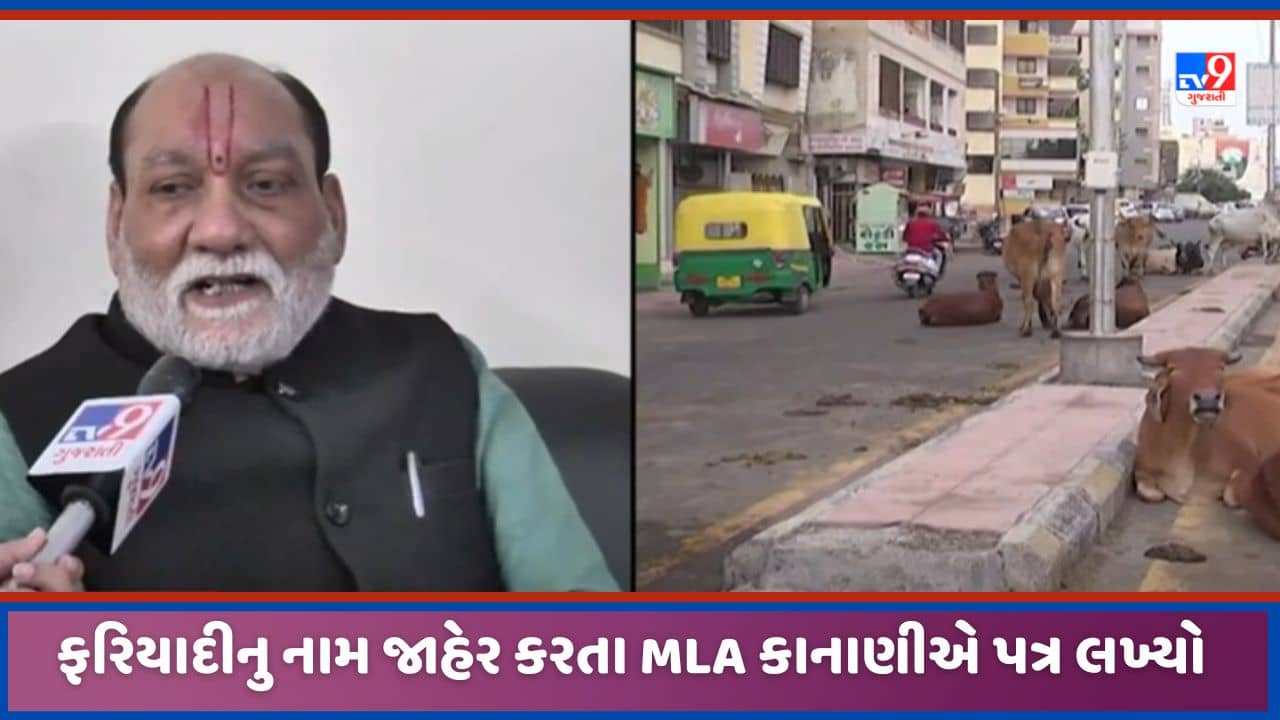 Surat: સુરત પાલિકાને રખડતા ઢોરની ફરિયાદ કરનારનુ નામ જાહેર કરતા MLA કુમાર કાનાણીએ ઉઠાવ્યા સવાલ, કાર્યવાહીની કરી માંગ, જુઓ Video