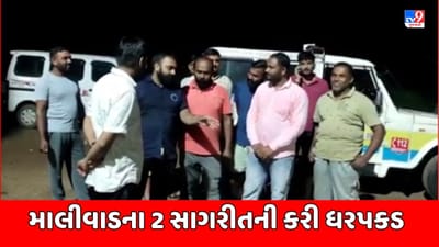 Mahisagar : મલેકપુરમાં બુટલેગરોનો આતંક, પોલીસે વિક્રમ માલીવાડના 2 સાગરીતની કરી ધરપકડ,જુઓ Video