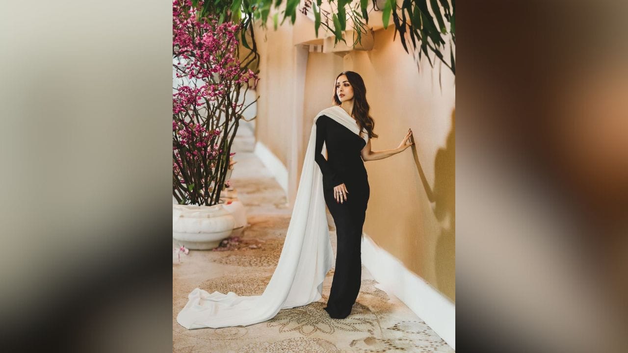 બોલિવુડ એક્ટ્રેસ મલાઈકા અરોરા તેના કામ કરતા વધારે તેના પર્સનલ લાઈફને લઈને ચર્ચામાં રહે છે. (Image: Instagram)