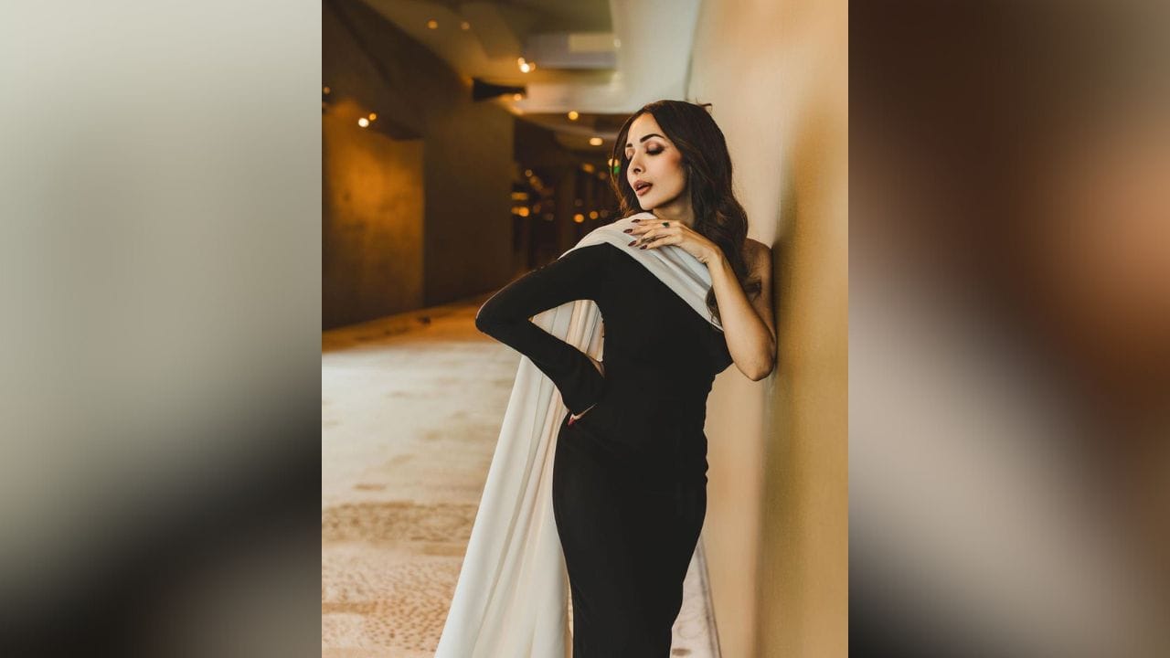 એકટ્રેસના ફેન્સ આ તસવીરો પર પ્રેમ વરસાવી રહ્યા છે. દરેક લોકો મલાઈકાની ફિટનેસ અને ફેશન સેન્સના ખૂબ વખાણ કરી રહ્યા છે. (Image: Instagram)