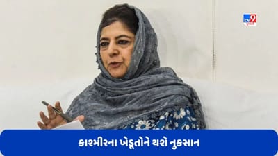 મહેબૂબા મુફ્તીએ મોદી સરકારના આ નિર્ણય પર ઉઠાવ્યા સવાલ, કહ્યુ- કાશ્મીરના ખેડૂતોને થશે મોટું નુકસાન