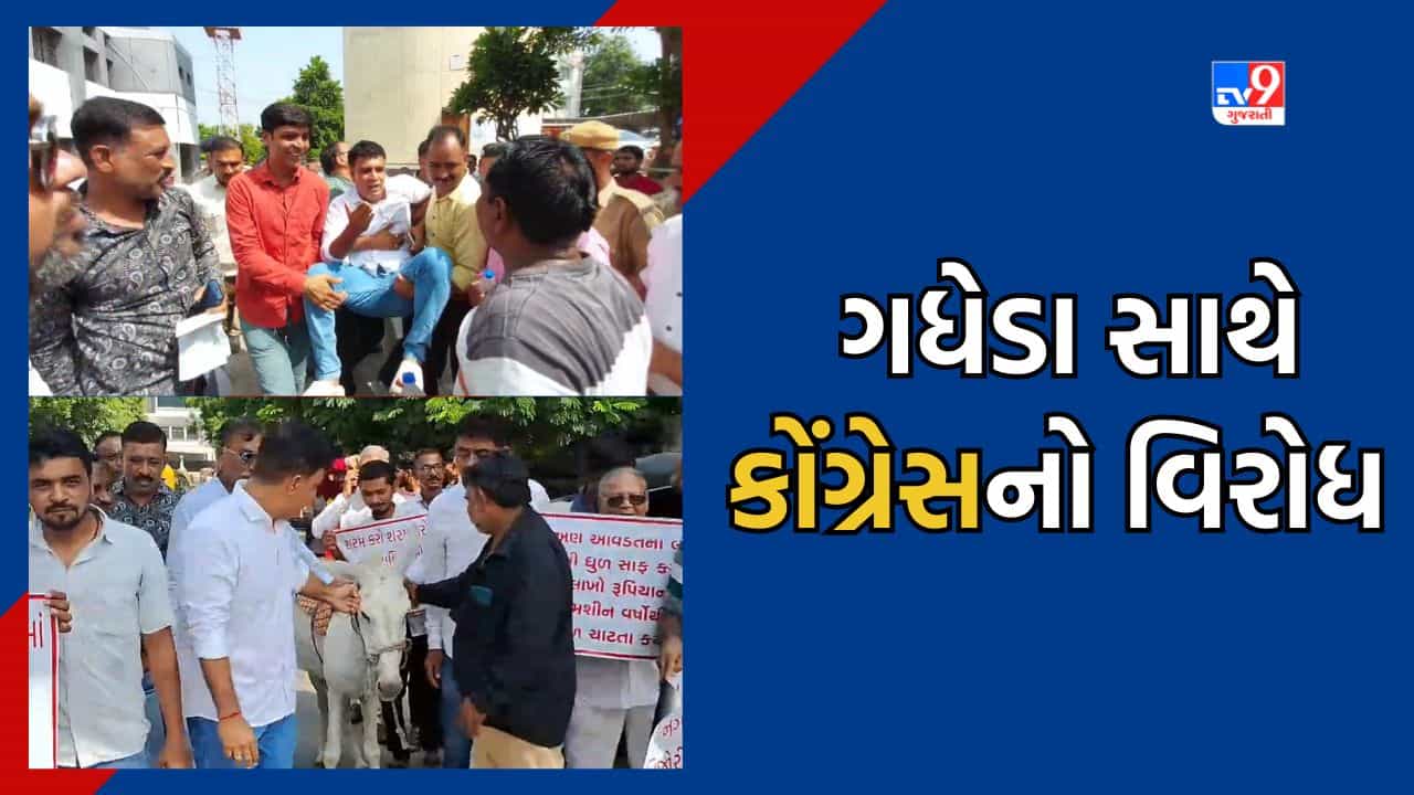 Mehsana News: ગધેડા લઈને નીકળી મહેસાણા શહેર કોંગ્રેસ સમિતિ, વિવિધ મુદ્દે પાલિકા બહાર કર્યુ વિરોધ પ્રદર્શન, જુઓ Video