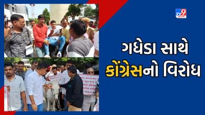 Mehsana News: ગધેડા લઈને નીકળી મહેસાણા શહેર કોંગ્રેસ સમિતિ, વિવિધ મુદ્દે પાલિકા બહાર કર્યુ વિરોધ પ્રદર્શન, જુઓ Video Mehsana News: ગધેડા લઈને નીકળી મહેસાણા શહેર કોંગ્રેસ સમિતિ, વિવિધ મુદ્દે પાલિકા બહાર કર્યુ વિરોધ પ્રદર્શન, જુઓ Video