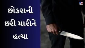 હથિયારો સાથે ઘૂસણખોરો ઘૂસ્યા, કિશોરની કરી હત્યા હથિયારો સાથે ઘૂસણખોરો ઘૂસ્યા, કિશોરની કરી હત્યા