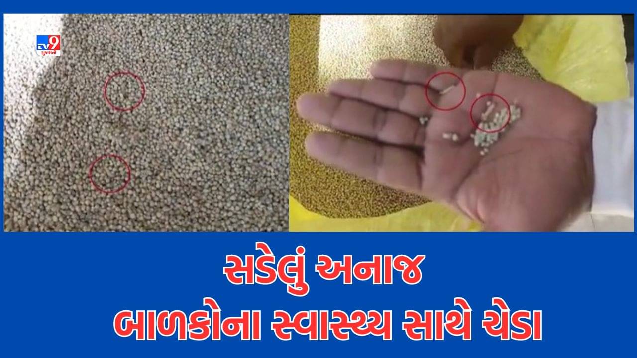 Gujarati Video: અમરેલીની વડલી ગામની શાળામાં બાળકોના સ્વાસ્થ્ય સાથે ચેડાં, મધ્યાહન ભોજન માટેના અનાજમાંથી નીકળી ઈયળ