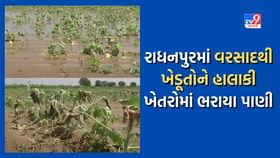 Video - રાધનપુરમાં ખેતરોમાં ભરાયા પાણી, પાકને નુકસાન, ખેડૂતોને હાલાકી Video - રાધનપુરમાં ખેતરોમાં ભરાયા પાણી, પાકને નુકસાન, ખેડૂતોને હાલાકી