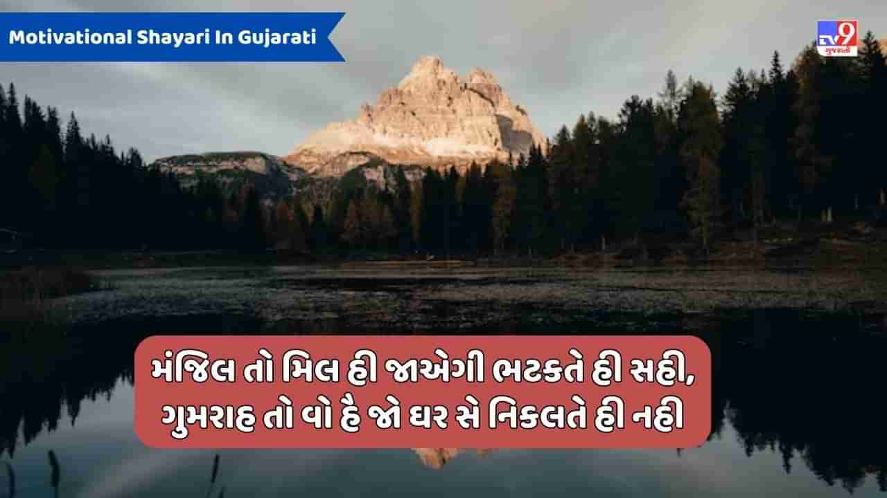 Motivational Shayari : દિલ સાફ કરકે મુલાકાત કી આદત ડાલો, ધૂલ હટતી હૈ તો આઈને ભી ચમક ઉઠતા હૈ - જેવી શાયરી વાંચો