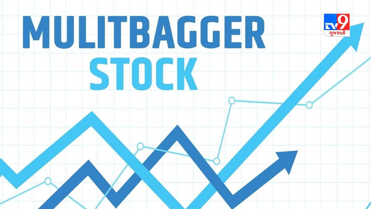 Stock Tips : કુબેરના ખજાના જેવા શેર કેવી રીતે શોધવા? આ 6 મુદ્દાઓ ધ્યાનમાં લેશો તો રોકાણકારો પર થશે ધનવર્ષા