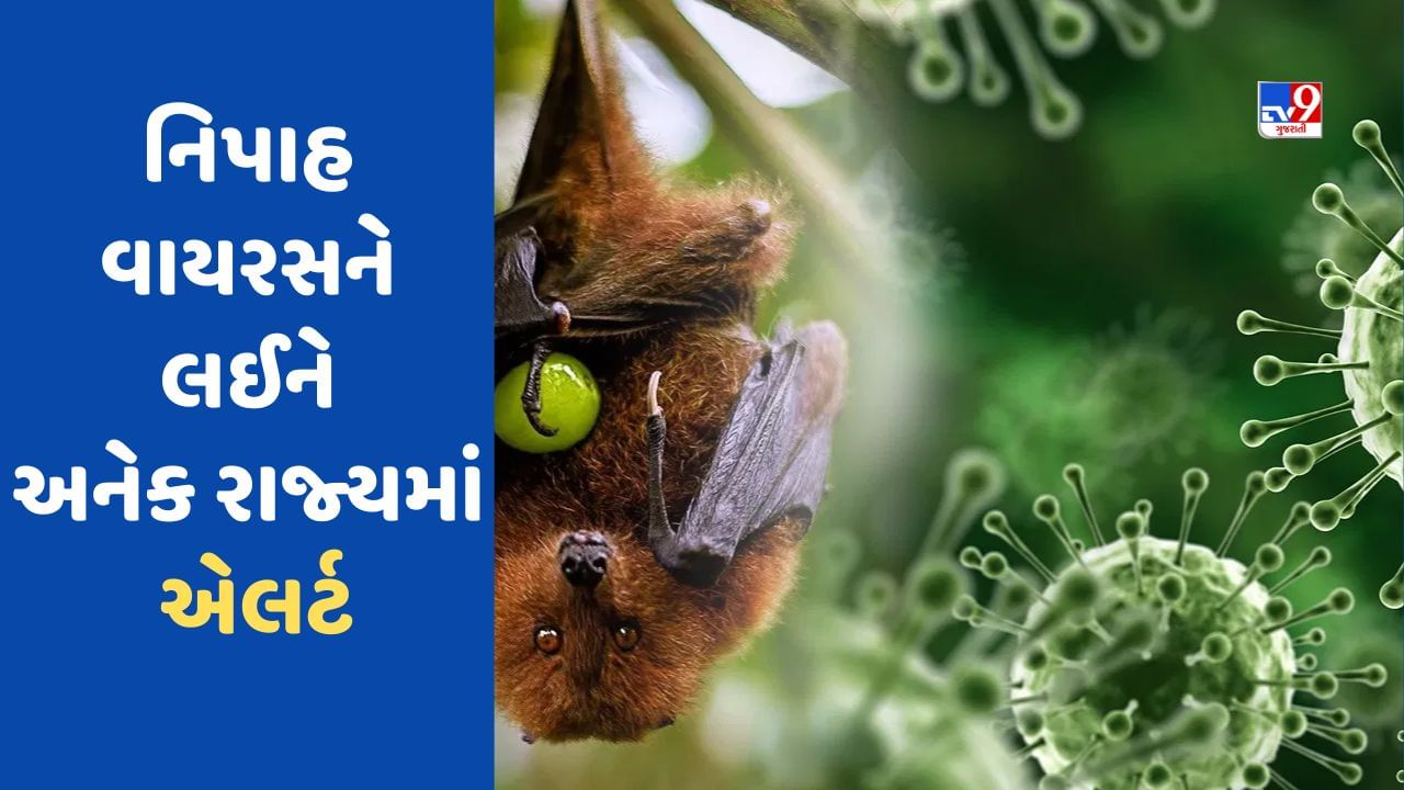 સાવધાન : કોરોના કરતા પણ ખતરનાક છે નિપાહ વાયરસ, કેરળમાં 4 એક્ટિવ કેસ, કર્ણાટક-તમિલનાડુ અને રાજસ્થાનમાં એલર્ટ