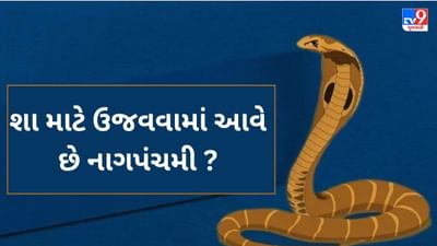 Nag Panchami 2023 : સનાતન ધર્મમાં નાગને માનવામાં આવે છે દેવતા, આ 5 સાપ માટે ઉજવાય છે નાગપંચમી