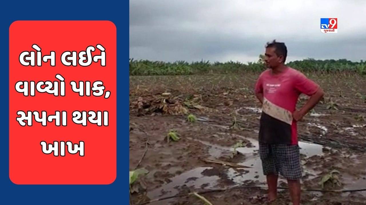 Narmada : નર્મદાના પાણી મુશ્કેલી લાવ્યા તાણી, પાક નિષ્ફળ જતા ખેડૂતોને રાતા પાણીએ રોવાનો વારો આવ્યો, જુઓ Video