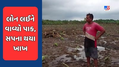 Narmada : નર્મદાના પાણી મુશ્કેલી લાવ્યા તાણી, પાક નિષ્ફળ જતા ખેડૂતોને રાતા પાણીએ રોવાનો વારો આવ્યો, જુઓ Video