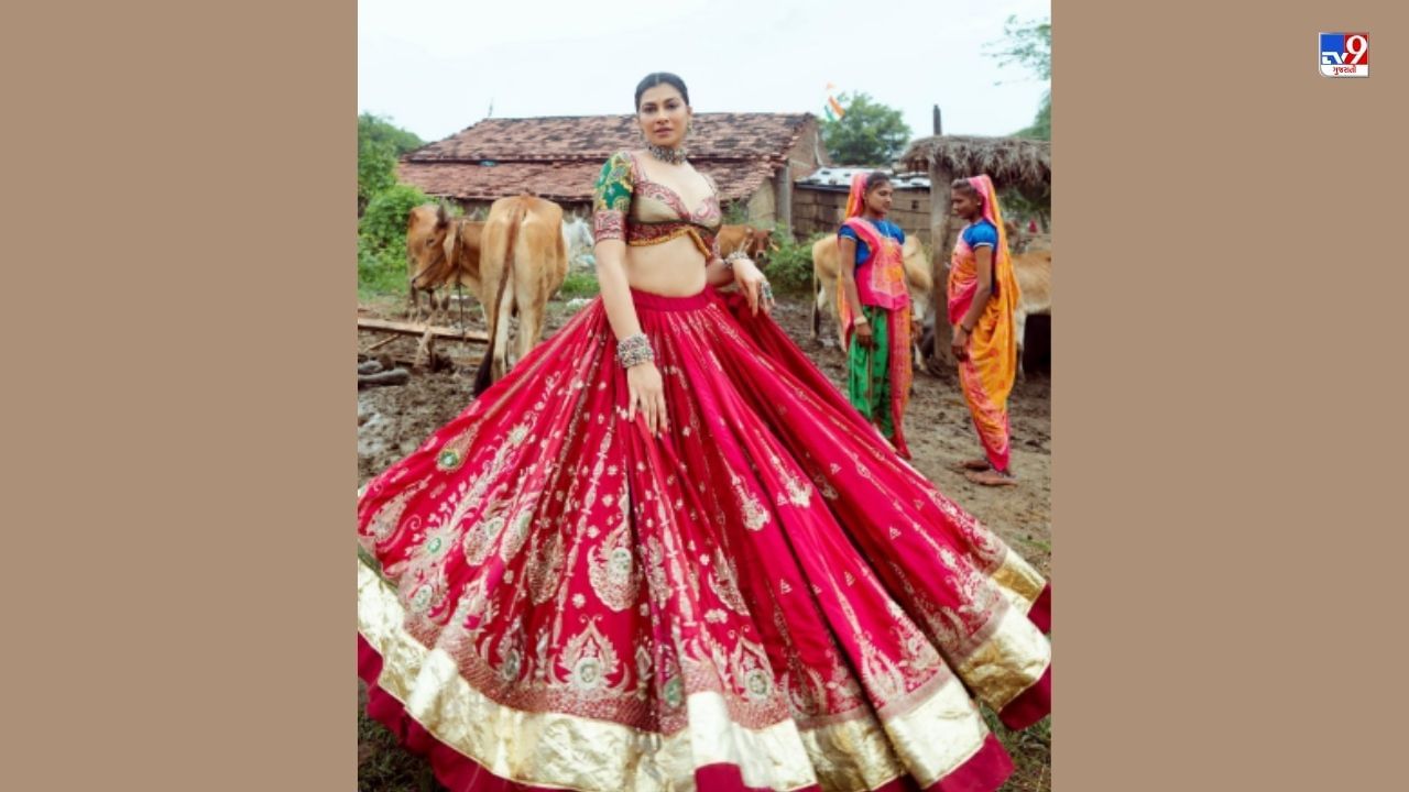 Navratri Garba Dress Look (2)