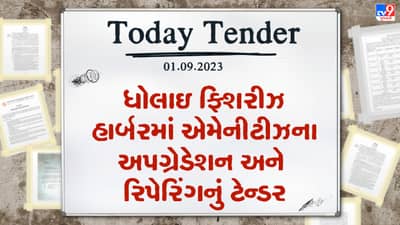 Tender Today : ધોલાઇ ફિશરીઝ હાર્બરમાં એમેનીટીઝના અપગ્રેડેશન અને રિપેરિંગ થશે, મત્સ્યોધ્યોગ વિભાગ દ્વારા કરોડો રુપિયાનું ટેન્ડર જાહેર