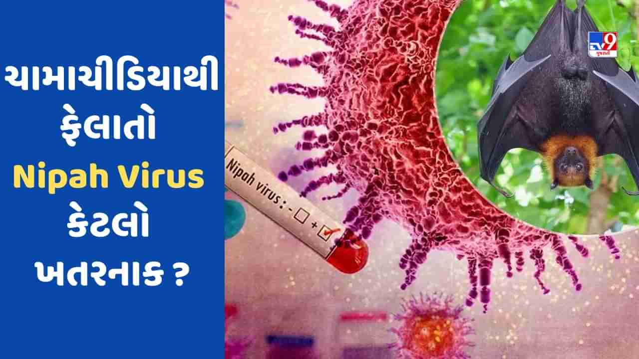 Nipah virusના કારણે કેરળમાં 2ના મોત ! જાણો કેટલો ઘાતક છે આ વાયરસ અને કેમ કેરળમાં જ વધે છે કેસ?