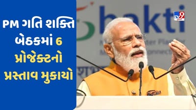 આદિવાસી ટ્રાયબલ વિસ્તારોમાં 52 હજાર કરોડ ખર્ચાશે, PM ગતિ શક્તિ બેઠકમાં 6 પ્રોજેક્ટનો મુકાયો પ્રસ્તાવ