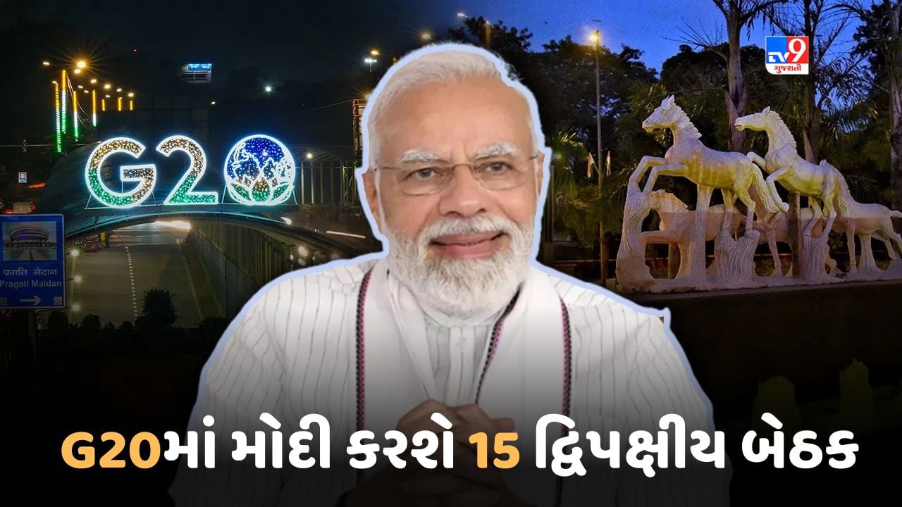 G20 શિખર સંમેલનમાં વડાપ્રધાન મોદી કરશે 15 દ્વિપક્ષીય બેઠક, બાઈડન-સુનક સહિત આ નેતાઓ સાથે થશે વાત