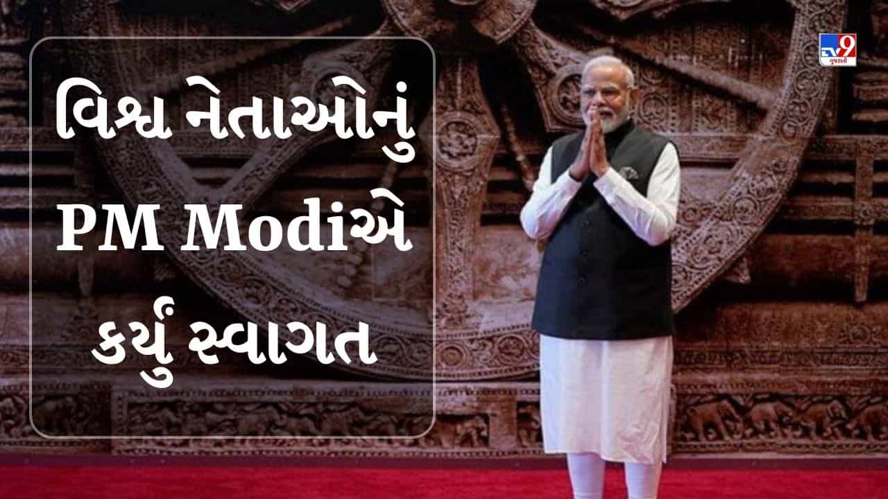 G20 Summit : PM મોદીએ વિશ્વ નેતાઓનું કર્યું ઉષ્માભેર સ્વાગત-Watch Video