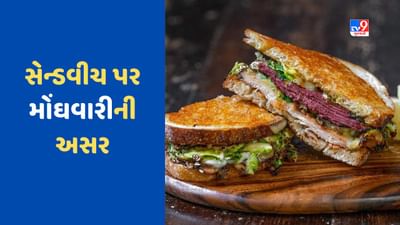 Pakistan Economic Crisis: પાકિસ્તાનમાં સેન્ડવીચની સાઈઝ થઈ નાની, ભારતમાં આટલામાં તો આવી જાય 3.5 લિટર પેટ્રોલ !