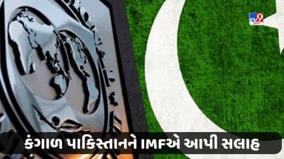 Pakistan News: કંગાળ પાકિસ્તાનને IMFએ આપી સલાહ તો છલકાયું જનતાનું દર્દ, લોકોએ કહ્યું - આ હાલતમાં કેવી રીતે જીવવું ?