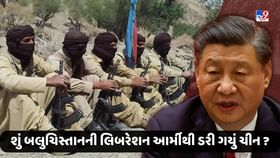 Pakistan News: શું બલુચિસ્તાનની લિબરેશન આર્મીથી ડરી ગયું ચીન ? Pakistan News: શું બલુચિસ્તાનની લિબરેશન આર્મીથી ડરી ગયું ચીન ?