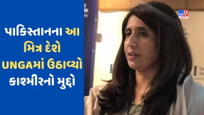 Pakistan News: UNGAમાં ઉઠ્યો કાશ્મીરનો મુદ્દો તો પાકિસ્તાને જોવા લાગ્યું સપના, કહી આ વાત