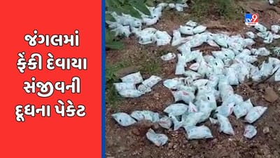 પંચમહાલના જંગલમાંથી મળ્યા સંજીવની દૂધના પેકેટ, કલેક્ટરે તપાસના આદેશ આપ્યા, જુઓ Video