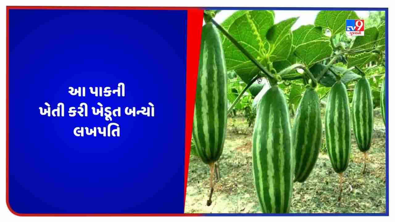 Success Story: આ પાકની ખેતી કરીને ખેડૂત બન્યો અમીર, એક વર્ષમાં કર્યો 8 લાખ રૂપિયાનો નફો