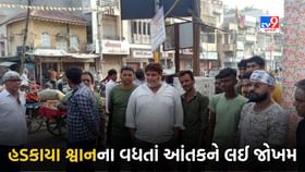 હડકાયા કુતરાએ 100 થી વધુ લોકોને શિકાર બનાવતા સ્થાનિકો ત્રસ્ત હડકાયા કુતરાએ 100 થી વધુ લોકોને શિકાર બનાવતા સ્થાનિકો ત્રસ્ત
