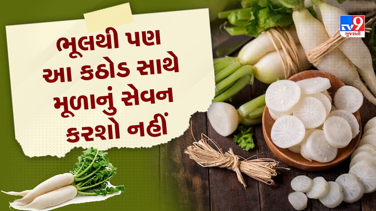 Radish Benefits and Side Effects કાચા મૂળાનું સેવન કરવાથી એસિડિટીની