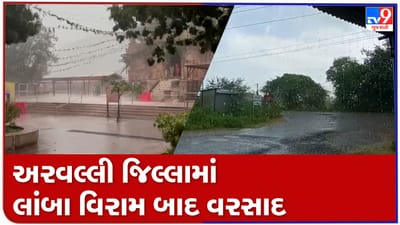 Aravalli: અરવલ્લી જિલ્લામાં લાંબા વિરામ બાદ વરસાદ વરસ્યો, મુરઝાતા પાકને રાહત, જુઓ Video Aravalli: અરવલ્લી જિલ્લામાં લાંબા વિરામ બાદ વરસાદ વરસ્યો, મુરઝાતા પાકને રાહત, જુઓ Video