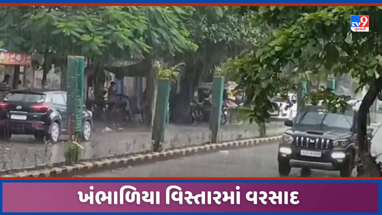 Dwarka: દ્વારકાના ખંભાળિયા વિસ્તારમાં વરસાદ વરસતા ખેડૂતોને રાહત, ખેતીમાં જીવતદાન, જુઓ Video