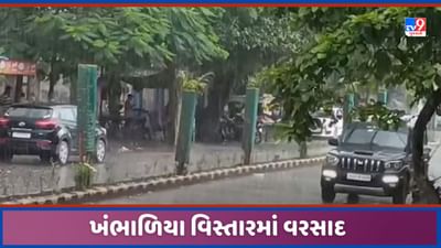 Dwarka: દ્વારકાના ખંભાળિયા વિસ્તારમાં વરસાદ વરસતા ખેડૂતોને રાહત, ખેતીમાં જીવતદાન, જુઓ Video Dwarka: દ્વારકાના ખંભાળિયા વિસ્તારમાં વરસાદ વરસતા ખેડૂતોને રાહત, ખેતીમાં જીવતદાન, જુઓ Video