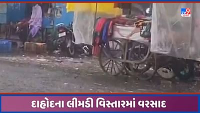 Gujarat Rain: દાહોદ જિલ્લામાં વરસાદ, લીમડી વિસ્તારમાં ચોમાસાનો માહોલ જામ્યો, જુઓ Video