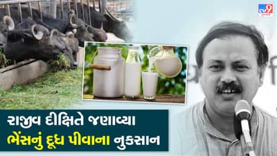 Rajiv Dixit Health Tips : ભેંસનું દૂધ પીતા હોવ તો આજે જ બંધ કરી દેજો ! રાજીવ દીક્ષિતે જણાવ્યું ગાય અને ભેંસના દૂધમાં અંતર