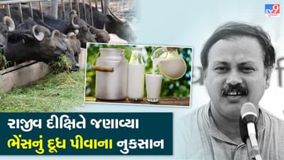 Rajiv Dixit Health Tips : ભેંસનું દૂધ પીતા હોવ તો આજે જ બંધ કરી દેજો ! રાજીવ દીક્ષિતે જણાવ્યું ગાય અને ભેંસના દૂધમાં અંતર