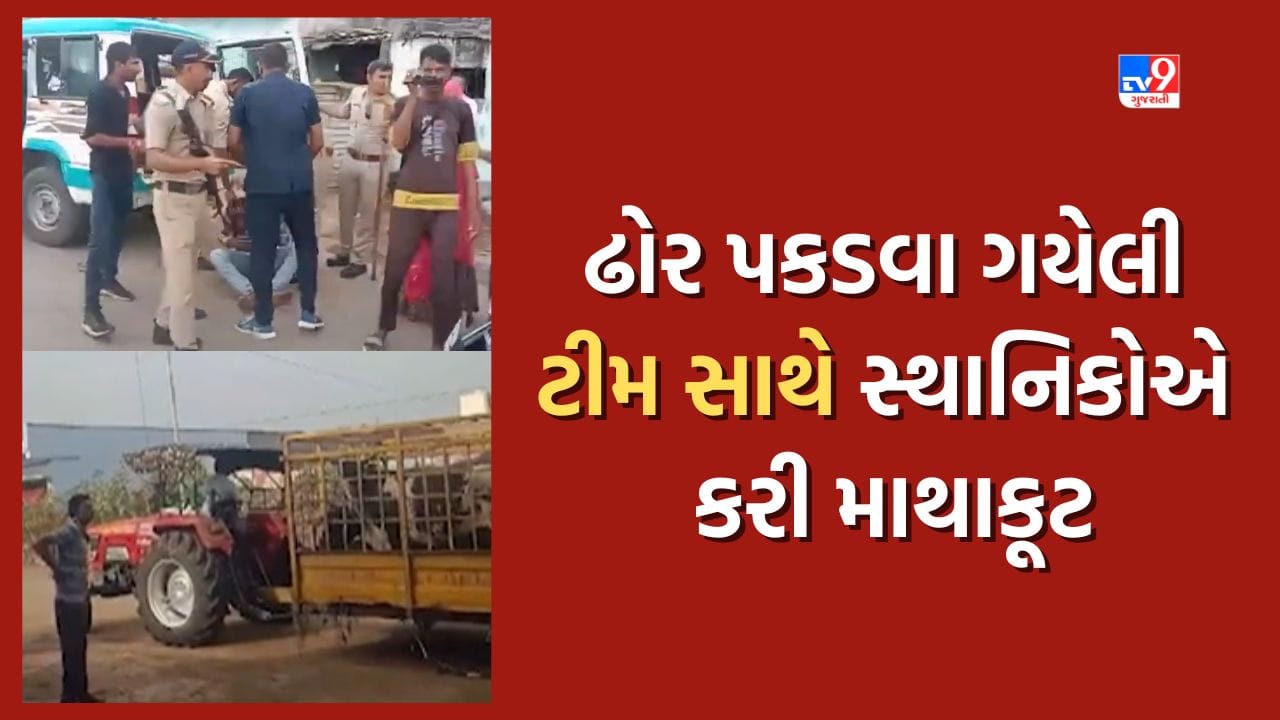 Ahmedabad: AMCની ઢોર પકડ પાર્ટીની કામગીરી સામે પશુપાલકોનો વિરોધ, જુઓ Video Ahmedabad: AMCની ઢોર પકડ પાર્ટીની કામગીરી સામે પશુપાલકોનો વિરોધ, જુઓ Video