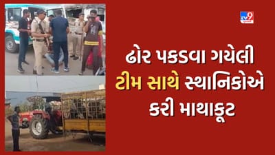 Ahmedabad: AMCની ઢોર પકડ પાર્ટીની કામગીરી સામે પશુપાલકોનો વિરોધ, જુઓ Video