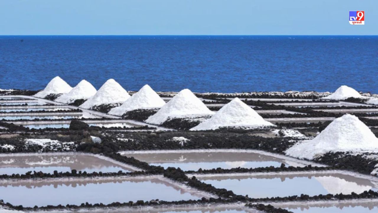 દરિયાઈ મીઠું : દરિયાઈ મીઠું પાણીને વરાળમાં ફેરવવાની પ્રક્રિયા દ્વારા બનાવવામાં આવે છે. તેમાં સોડિયમની ઉણપ અને આયોડિનનું પ્રમાણ વધુ છે. આ મીઠું ઝડપથી ઓગળી જાય છે.