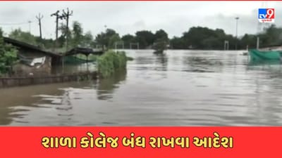 Gujarat Rain: સોમવારે નર્મદા જિલ્લાની તમામ શાળા, કોલેજ બંધ રાખવા નાયબ નિવાસી કલેકટરનું જાહેરનામુ, જુઓ Video