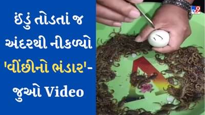 Shocking Viral Video : વ્યક્તિએ ઈંડું તોડતાં જ અંદરથી વીંછીનો ભંડાર બહાર આવ્યો, વીડિયો જોઈને લોકો ચોંકી ગયા