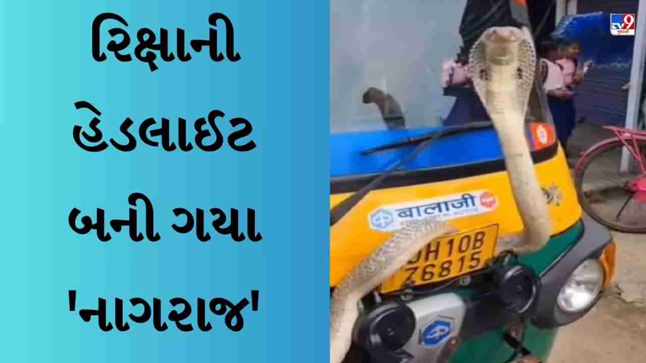 Shocking Viral video : ઓટો રિક્ષાની હેડલાઈટ બની ગયા નાગરાજ, દ્રશ્ય જોવા માટે લોકોની ભીડ ઉમટી પડી