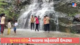 Sunsar Falls: સુનસર ધોધના નયનરમ્ય નજારાને માણવા સહેલાણીઓ ઉમટ્યા Sunsar Falls: સુનસર ધોધના નયનરમ્ય નજારાને માણવા સહેલાણીઓ ઉમટ્યા