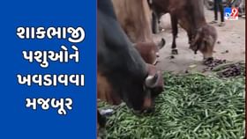 શાકભાજીનો યોગ્ય ભાવ મળે તેવી ખેડૂતોએ સરકાર પાસે માગ કરી શાકભાજીનો યોગ્ય ભાવ મળે તેવી ખેડૂતોએ સરકાર પાસે માગ કરી