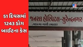 સુરેન્દ્રનગર સિવિલમાં 51 દિવસમાં 1 હજારથી વધુ ડોગ બાઈટના કેસ નોંધાયા સુરેન્દ્રનગર સિવિલમાં 51 દિવસમાં 1 હજારથી વધુ ડોગ બાઈટના કેસ નોંધાયા