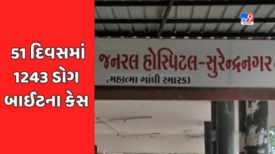 સુરેન્દ્રનગરમાં રખડતા શ્વાનનનો આતંક, સિવિલમાં 51 દિવસમાં ડોગ બાઈટના 1 હજારથી વધુ કેસ નોંધાયા