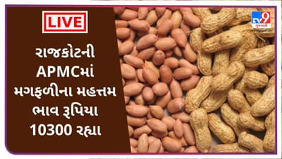 Mandi :રાજકોટની APMCમાં મગફળીના મહત્તમ ભાવ રૂપિયા 10300 રહ્યા,જાણો જુદા-જુદા પાકના ભાવ