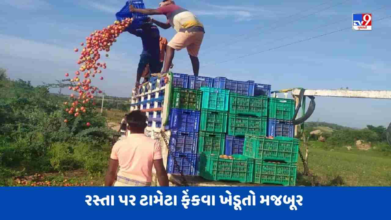 એક કિલો ટામેટાની કિંમત માત્ર 2 થી 3 રૂપિયા મળતા રસ્તા પર ફેંકવા ખેડૂતો મજબૂર