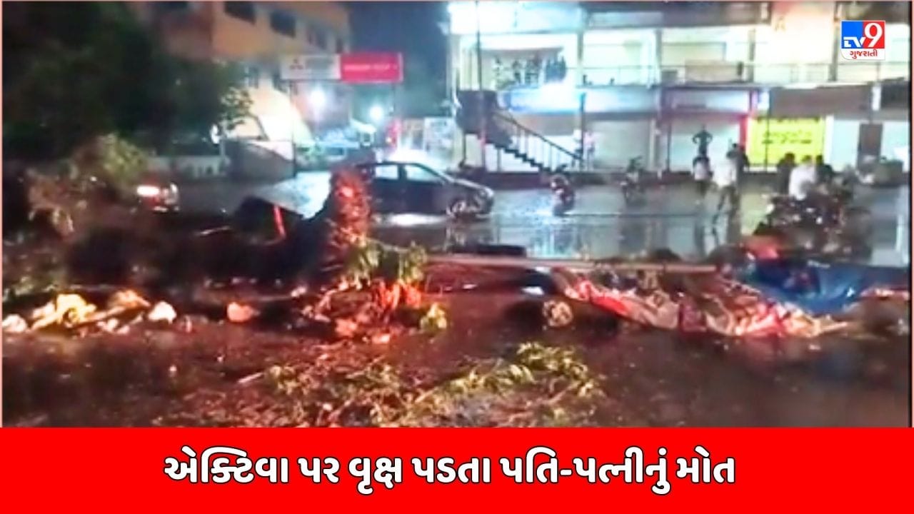 Anand Breaking News : એક્ટિવા પર વૃક્ષ પડતા પતિ-પત્નીનું ઘટનાસ્થળે મોત, વૃક્ષ કાપી મૃતદેહ બહાર કઢાયા, જુઓ Video Anand Breaking News : એક્ટિવા પર વૃક્ષ પડતા પતિ-પત્નીનું ઘટનાસ્થળે મોત, વૃક્ષ કાપી મૃતદેહ બહાર કઢાયા, જુઓ Video